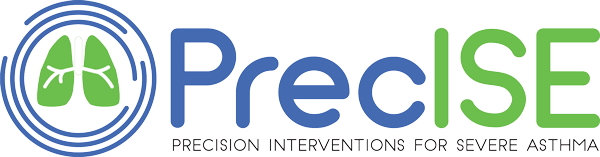 PrecISE logo